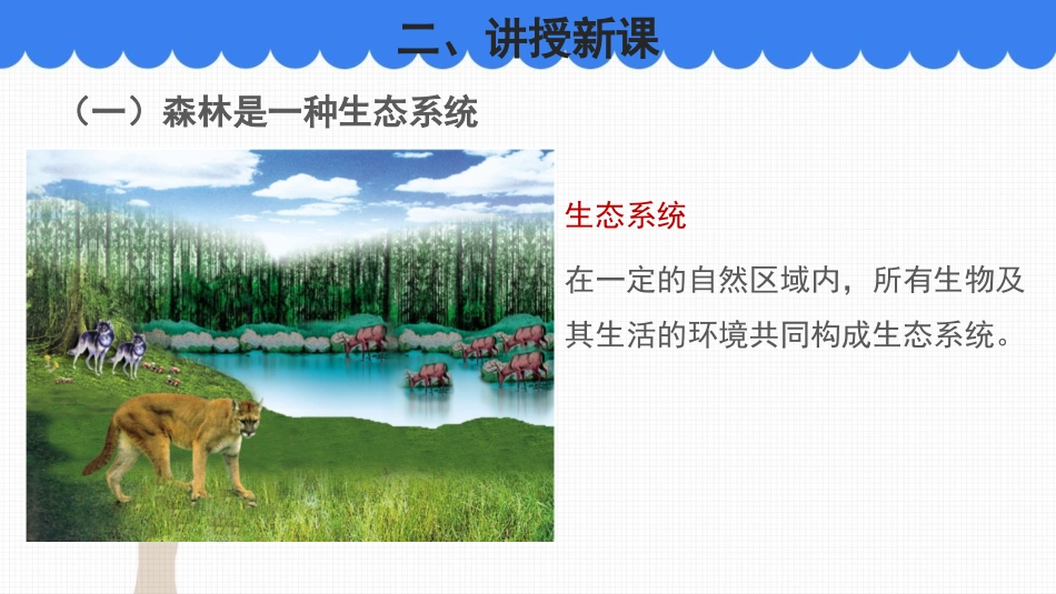 《生态系统概述》PPT教学课件[北师大版八年级生物下册]_第3页