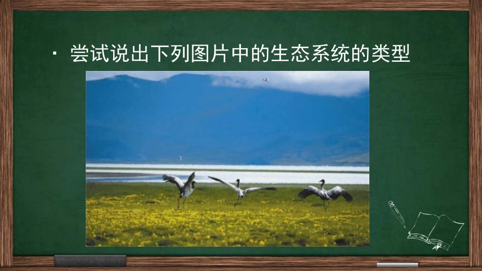 《生态系统概述》PPT免费课件[北师大版八年级生物下册]_第3页