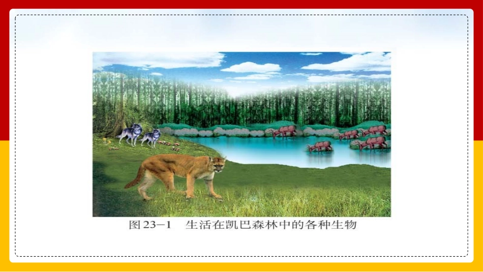 《生态系统概述》PPT精品课件[北师大版八年级生物下册]_第2页