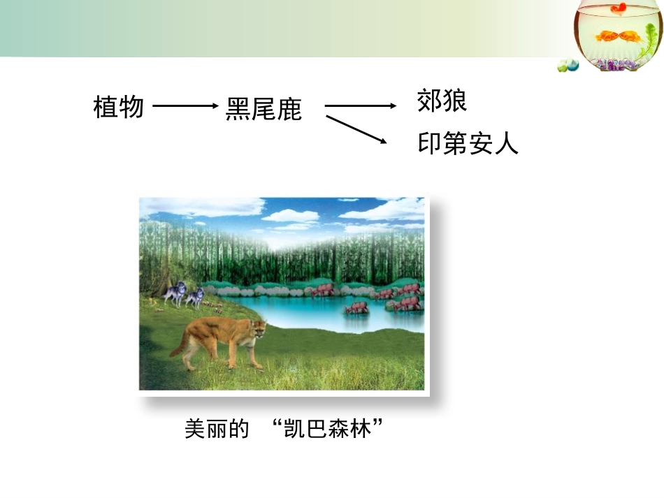 《生态系统的稳定性》PPT教学课件[北师大版八年级生物下册]_第2页