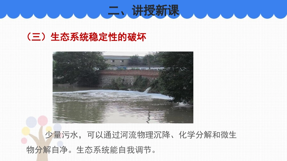 《生态系统的稳定性》PPT免费课件[北师大版八年级生物下册]_第3页