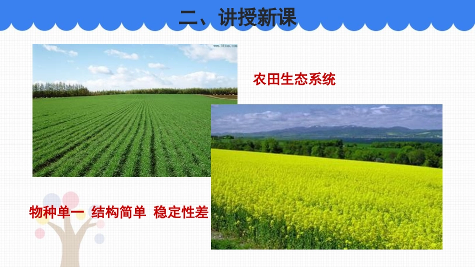 《关注农村环境》PPT课件[北师大版八年级生物下册]_第3页