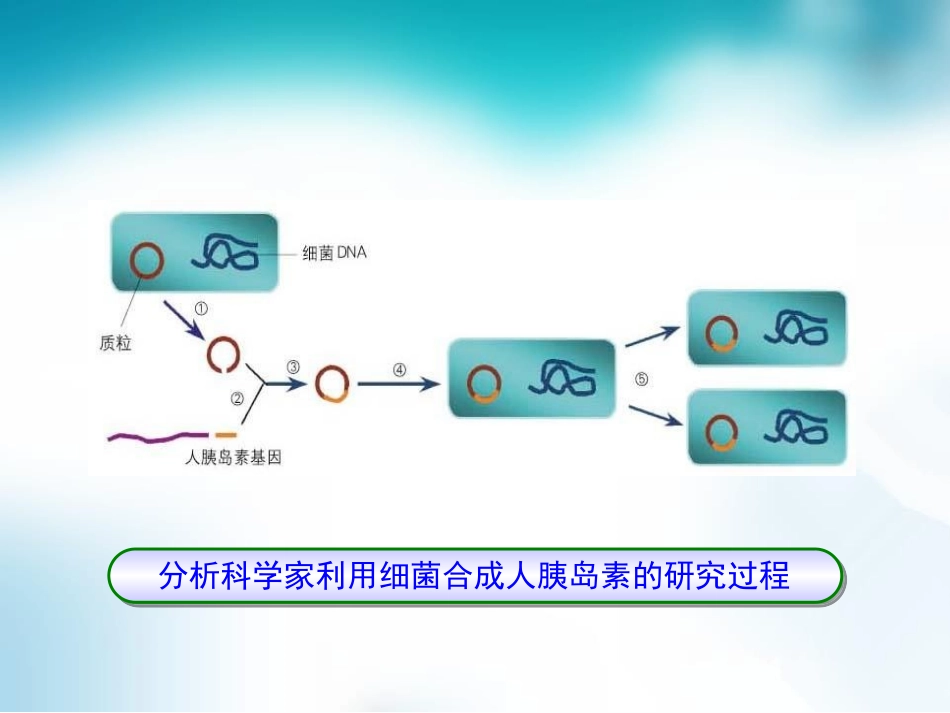 《现代生物技术》PPT课件[北师大版八年级生物下册]_第3页