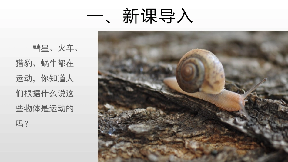 《运动的描述》机械运动PPT课件[人教版八年级物理上册]_第2页
