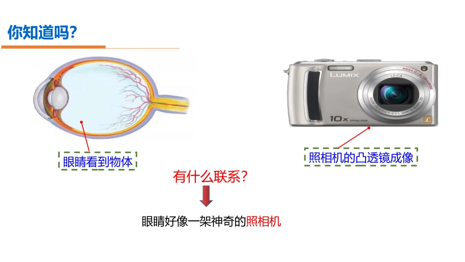 《眼睛和眼镜》透镜及其应用PPT课件[人教版八年级物理上册]_第2页