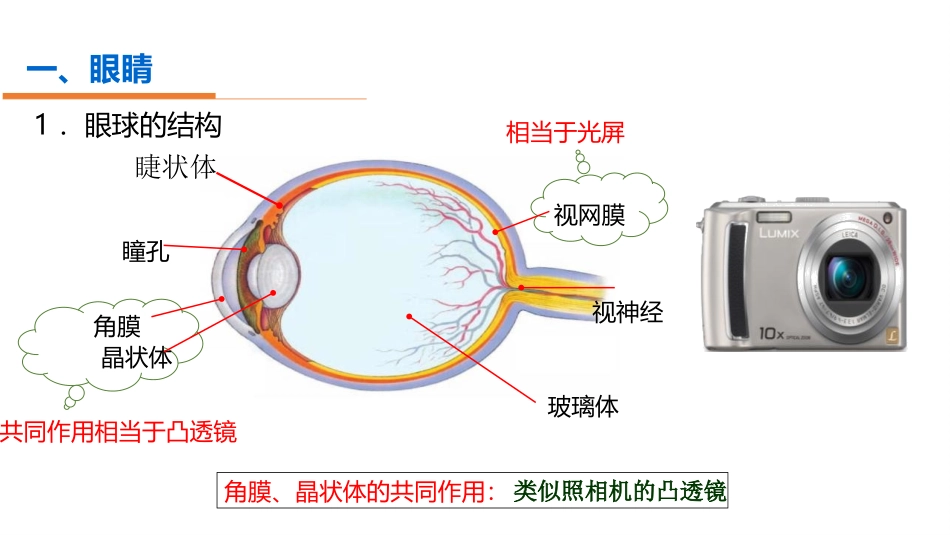 《眼睛和眼镜》透镜及其应用PPT课件[人教版八年级物理上册]_第3页