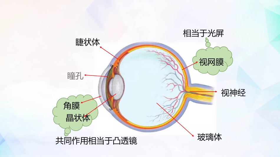 《眼睛和眼镜》透镜及其应用PPT精品课件[人教版八年级物理]_第3页