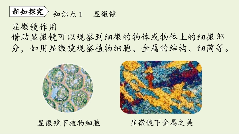 《显微镜和望远镜》透镜及其应用PPT精品课件[人教版八年级物理]_第3页