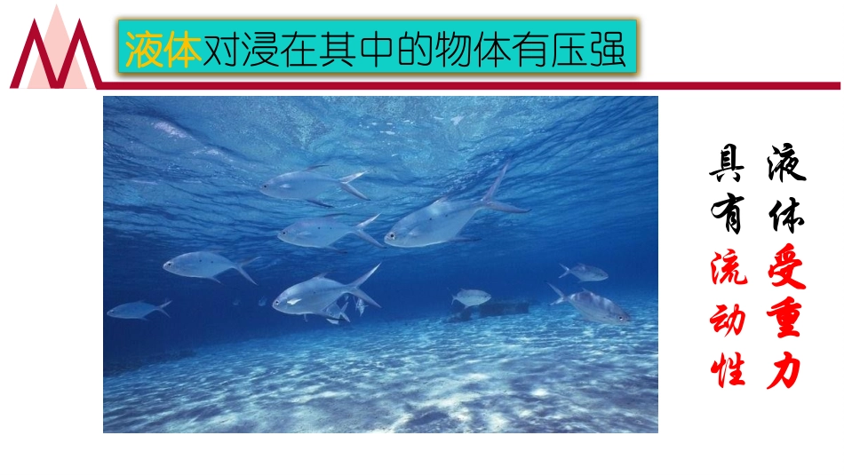 《大气压强》压强PPT优质课件[人教版八年级物理下册]_第1页