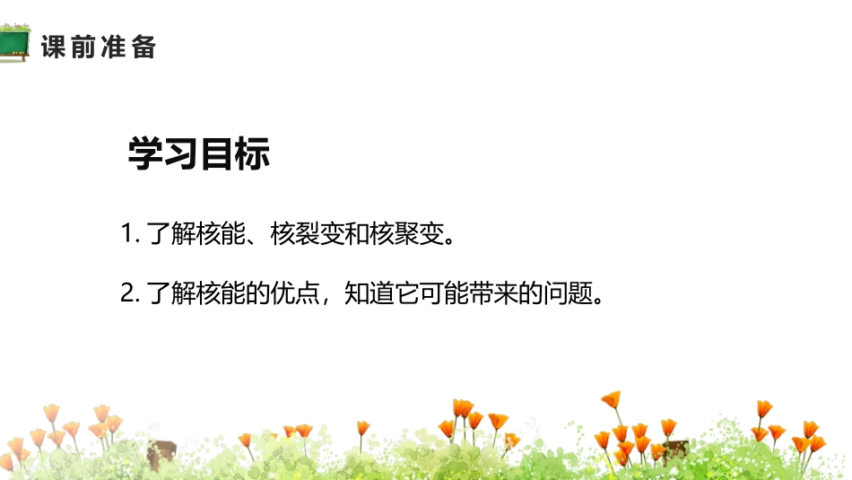 《核能》能源与可持续发展PPT免费课件[人教版九年级物理]_第2页