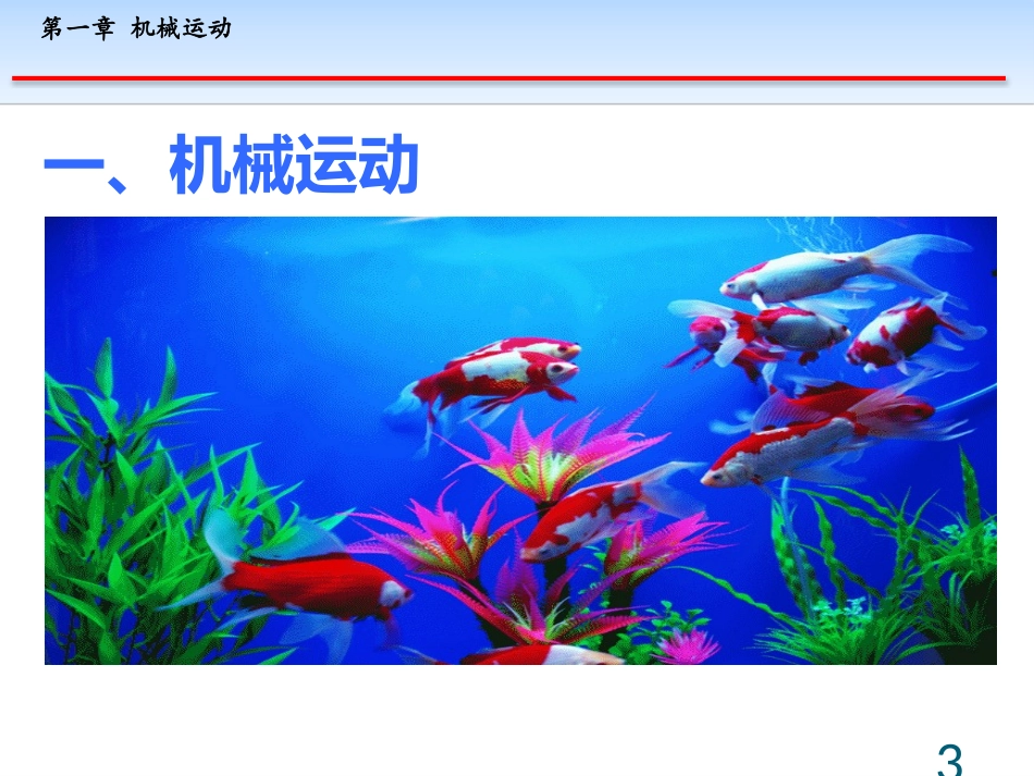 《运动的快慢》PPT优质课件[鲁教版八年级物理上册]_第3页