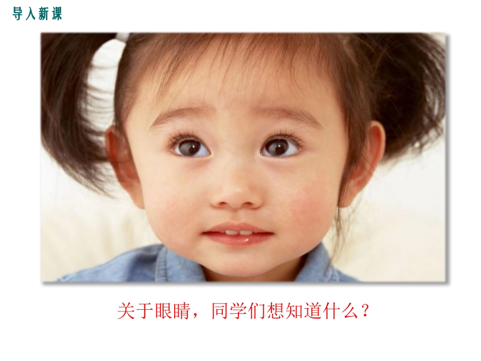 《眼睛和眼镜》透镜及其应用PPT免费课件[鲁教版八年级物理]_第2页