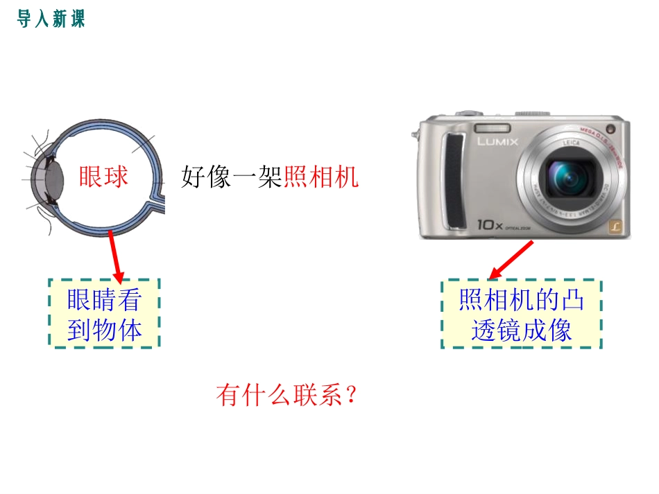 《眼睛和眼镜》透镜及其应用PPT免费课件[鲁教版八年级物理]_第3页