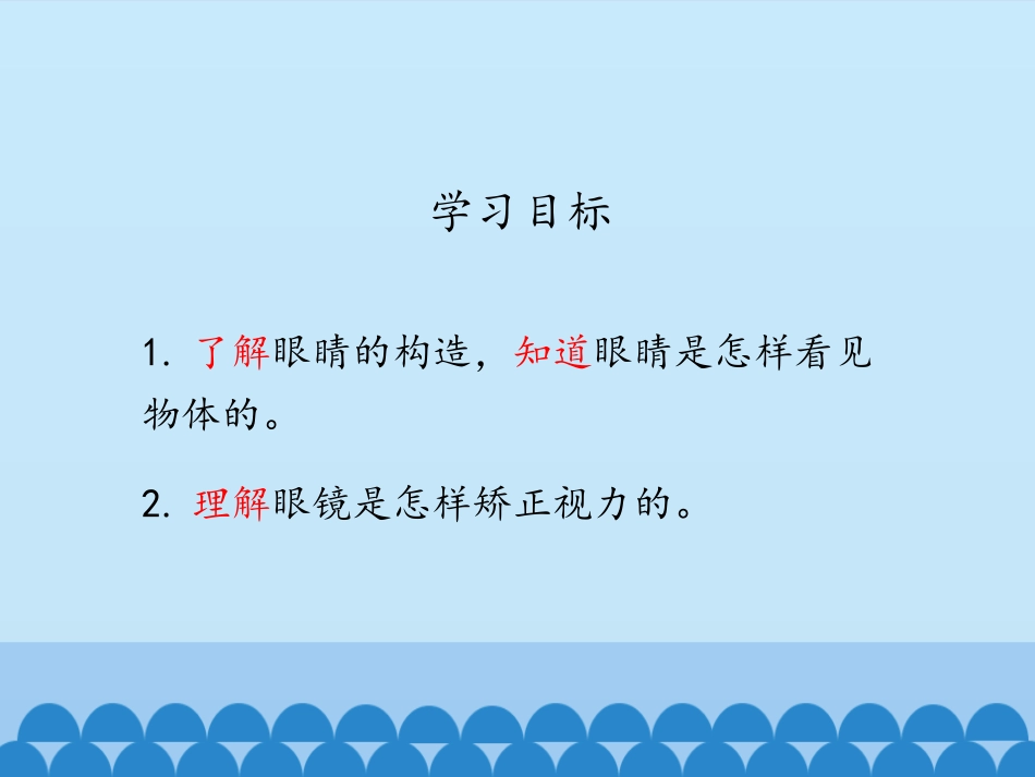 《眼睛和眼镜》透镜及其应用PPT课件[鲁教版八年级物理上册]_第2页