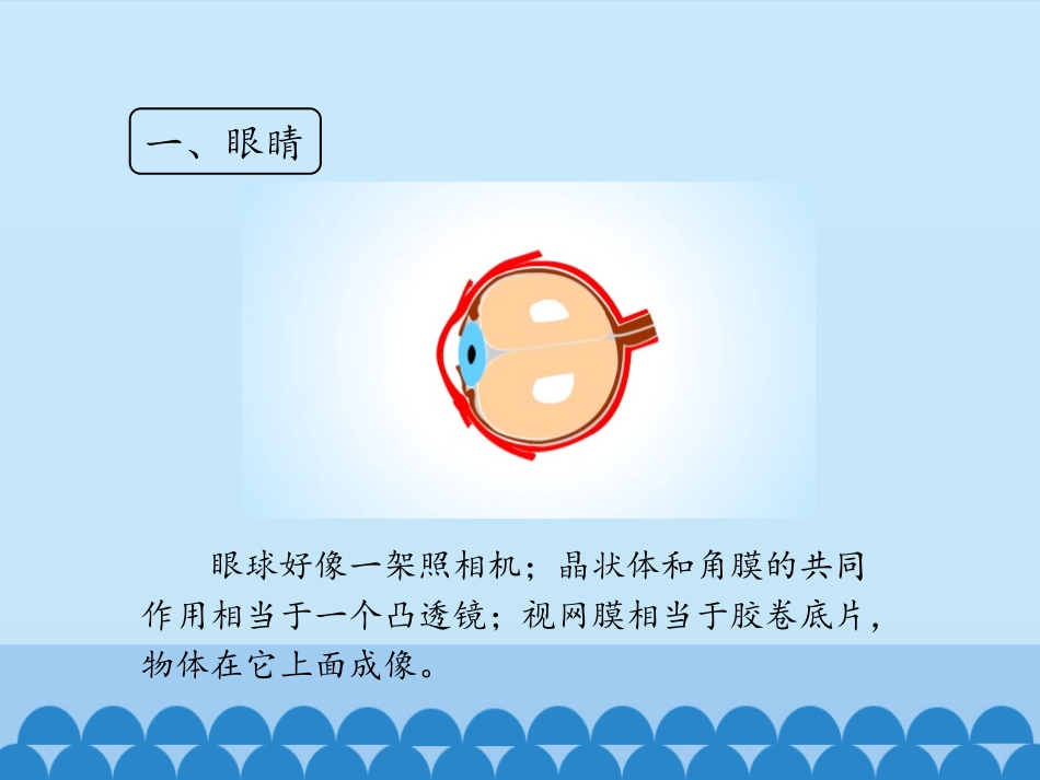 《眼睛和眼镜》透镜及其应用PPT课件[鲁教版八年级物理上册]_第3页
