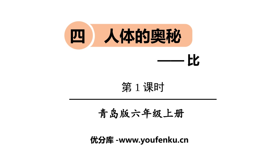 《人体的奥秘》PPT教学课件(第1课时)[青岛版六年级数学]_第1页