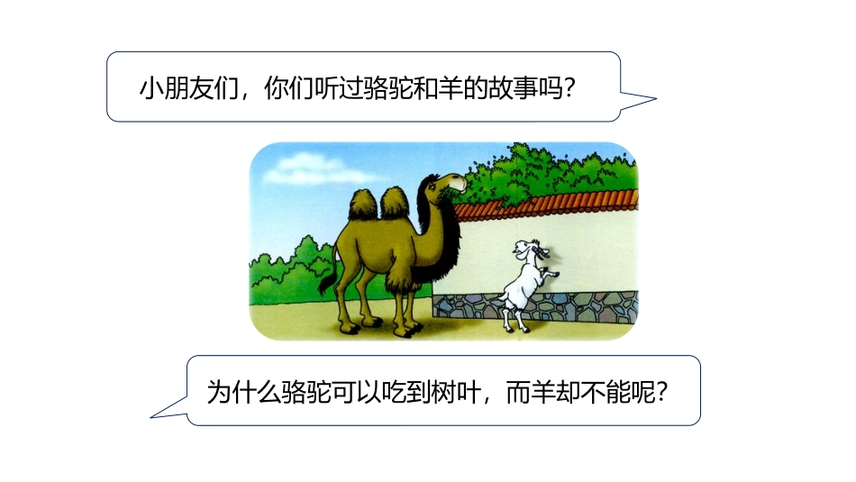 《高矮、长短》比一比PPT课件[冀教版一年级数学上册]_第3页