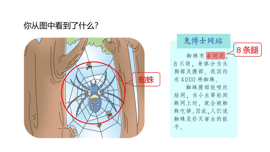 《8的乘法口诀》表内乘法和除法PPT课件[冀教版二年级数学]_第3页