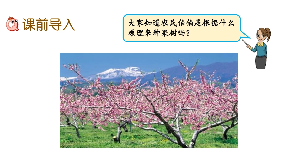 《种植问题》土地面积PPT教学课件[冀教版五年级数学上册]_第2页