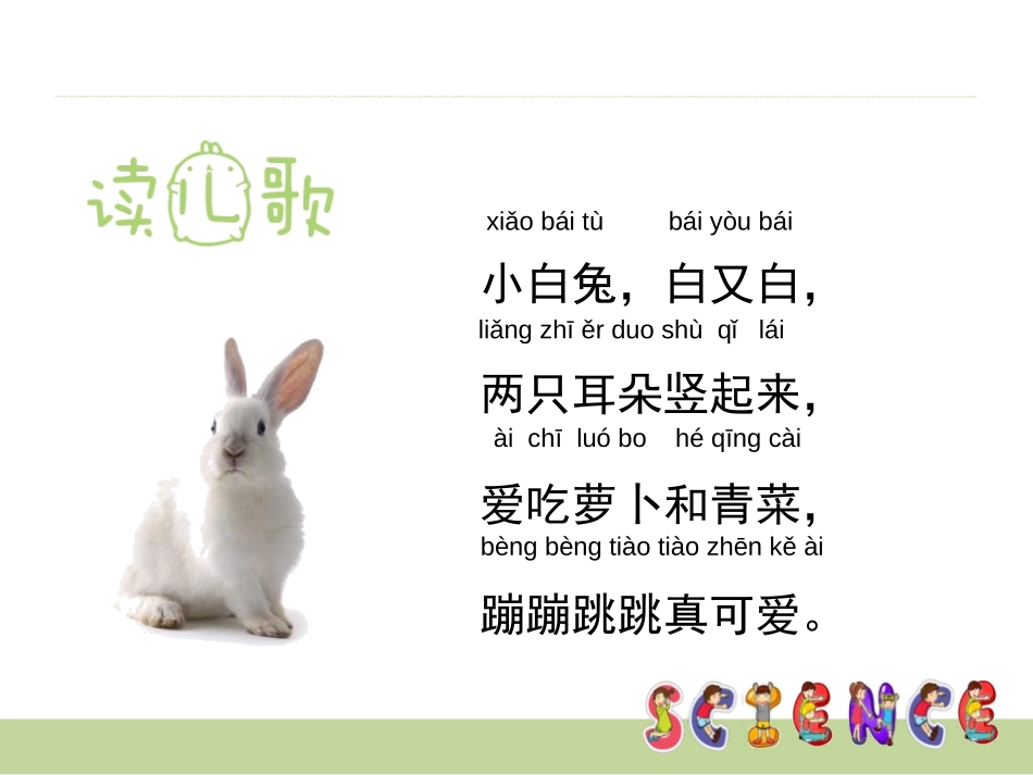 《兔子》PPT课件[大象版一年级科学上册]_第2页