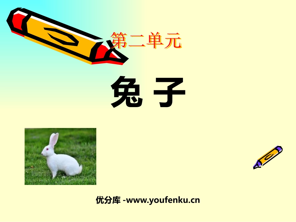 《兔子》PPT课件[大象版一年级科学上册]_第1页