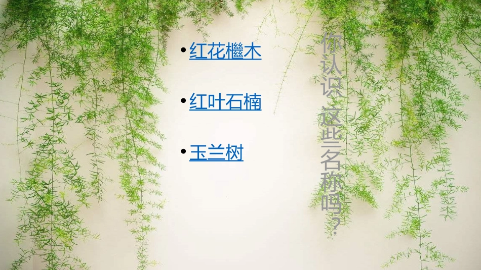 《认识常见植物》PPT课件[大象版一年级科学下册]_第3页