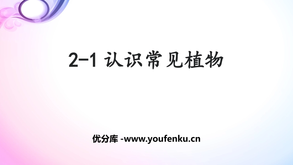 《认识常见植物》PPT课件[大象版一年级科学下册]_第1页