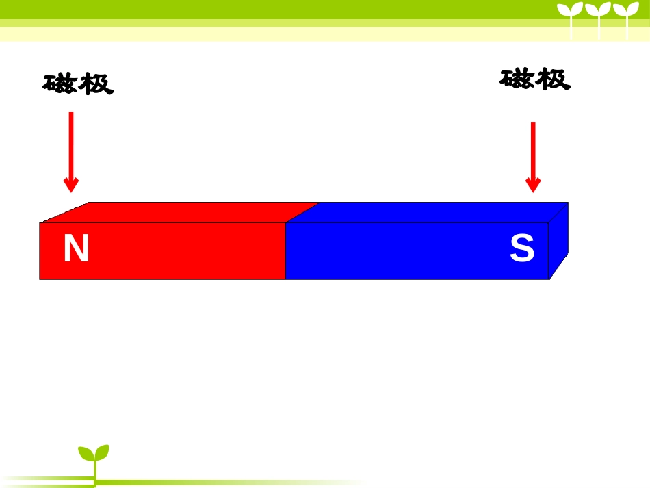 《两极指南北》PPT课件[大象版二年级科学上册]_第3页