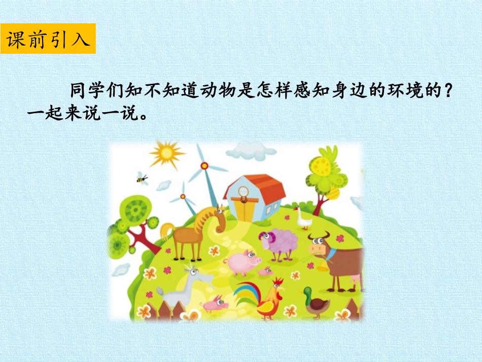 《动物小侦探》PPT课件[大象版二年级科学上册]_第2页