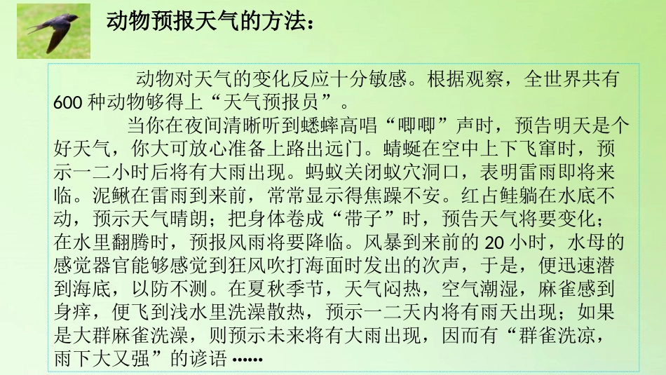 《制作<气象科普小报>》PPT课件[大象版三年级科学上册]_第3页