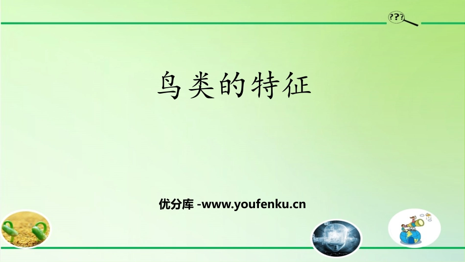 《鸟类的特征》PPT课件[大象版三年级科学上册]_第1页