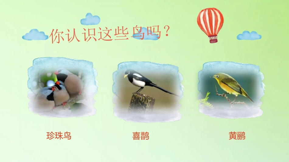 《鸟类的特征》PPT课件[大象版三年级科学上册]_第2页
