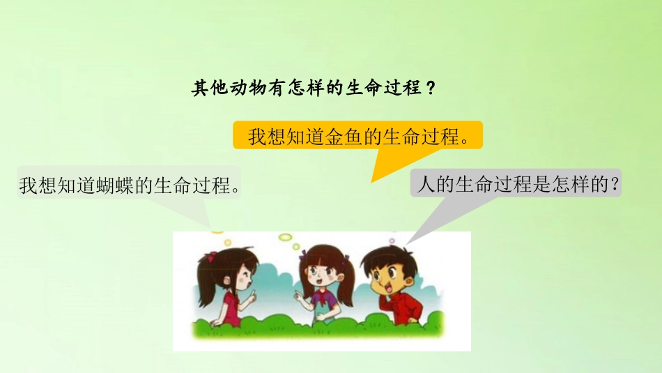 《动物的一生》PPT免费课件[大象版三年级科学上册]_第3页
