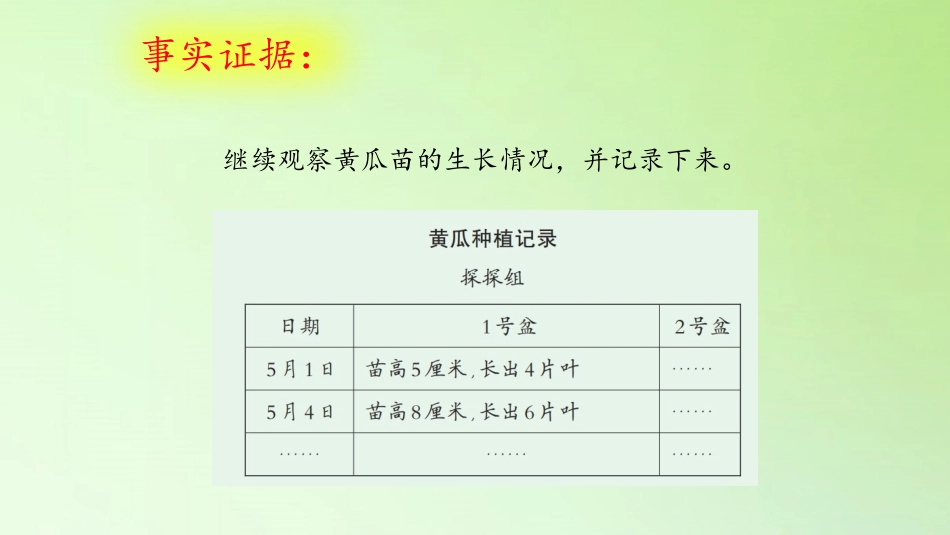 《茁壮成长》PPT课件[大象版三年级科学下册]_第3页