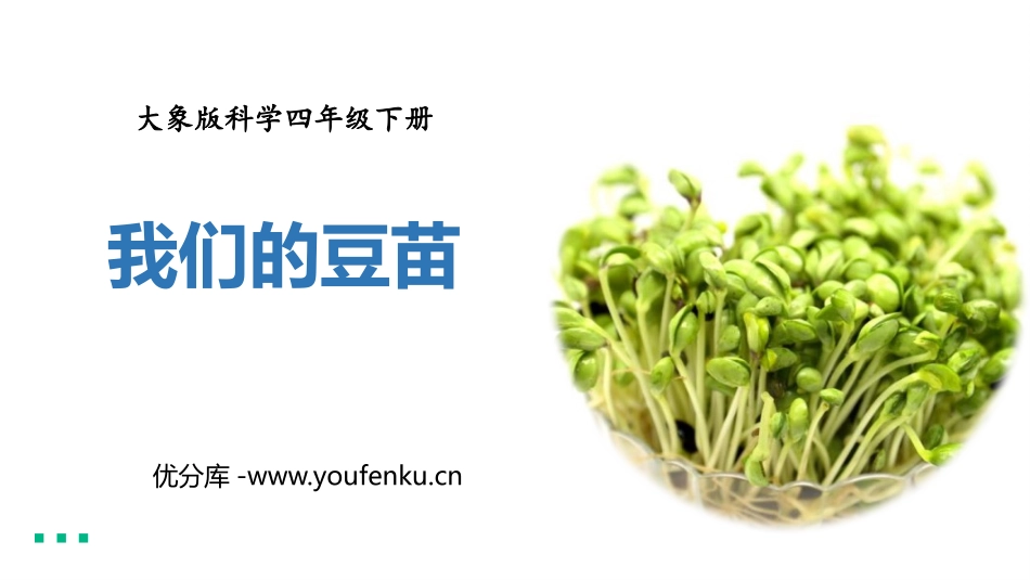 《我们的豆苗》PPT课件[大象版四年级科学下册]_第1页