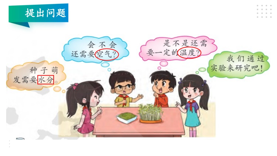 《我们的豆苗》PPT课件[大象版四年级科学下册]_第3页