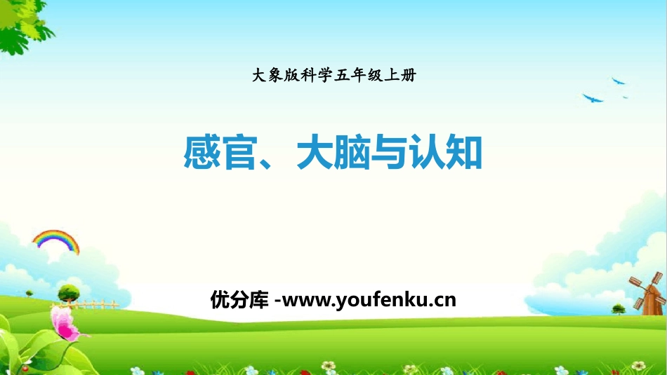 《感官、大脑与认知》PPT课件[大象版五年级科学上册]_第1页