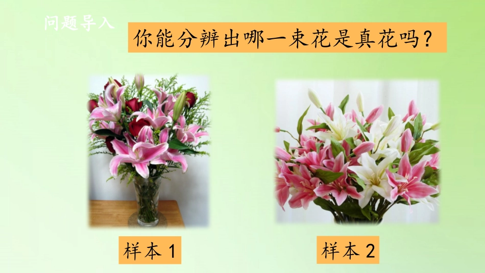 《感官、大脑与认知》PPT课件[大象版五年级科学上册]_第2页