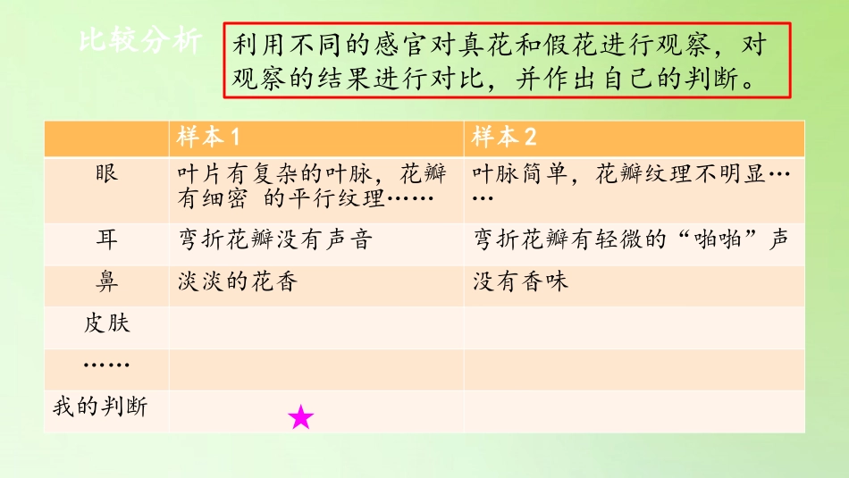 《感官、大脑与认知》PPT课件[大象版五年级科学上册]_第3页