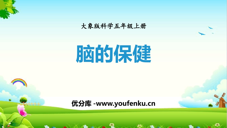 《脑的保健》PPT课件[大象版五年级科学上册]_第1页