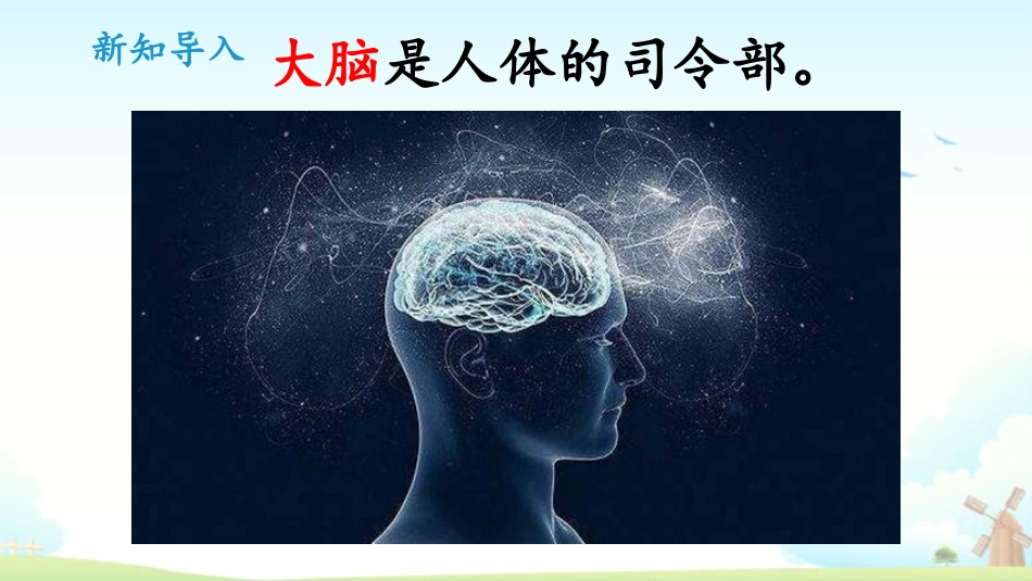 《脑的保健》PPT课件[大象版五年级科学上册]_第2页