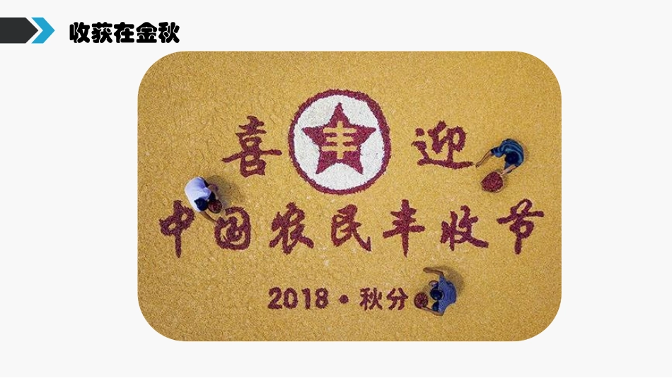 《因地制宜发展农业》PPT教学课件[商务星球版八年级地理]_第2页