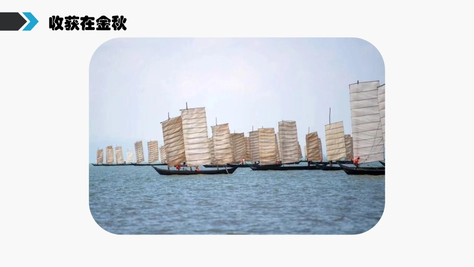 《因地制宜发展农业》PPT教学课件[商务星球版八年级地理]_第3页