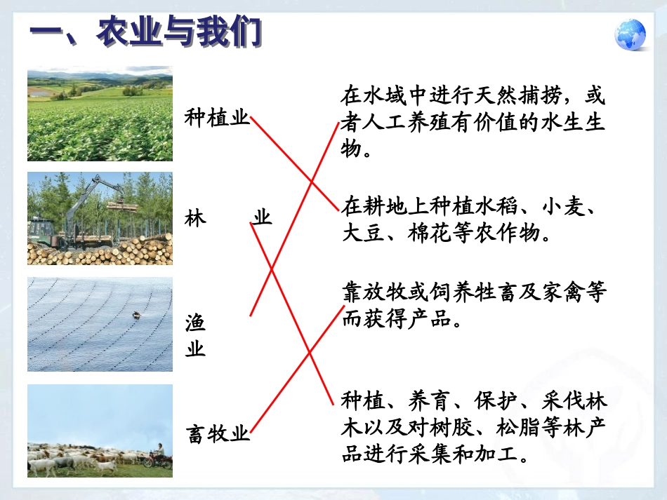 《因地制宜发展农业》PPT免费课件[商务星球版八年级地理]_第2页