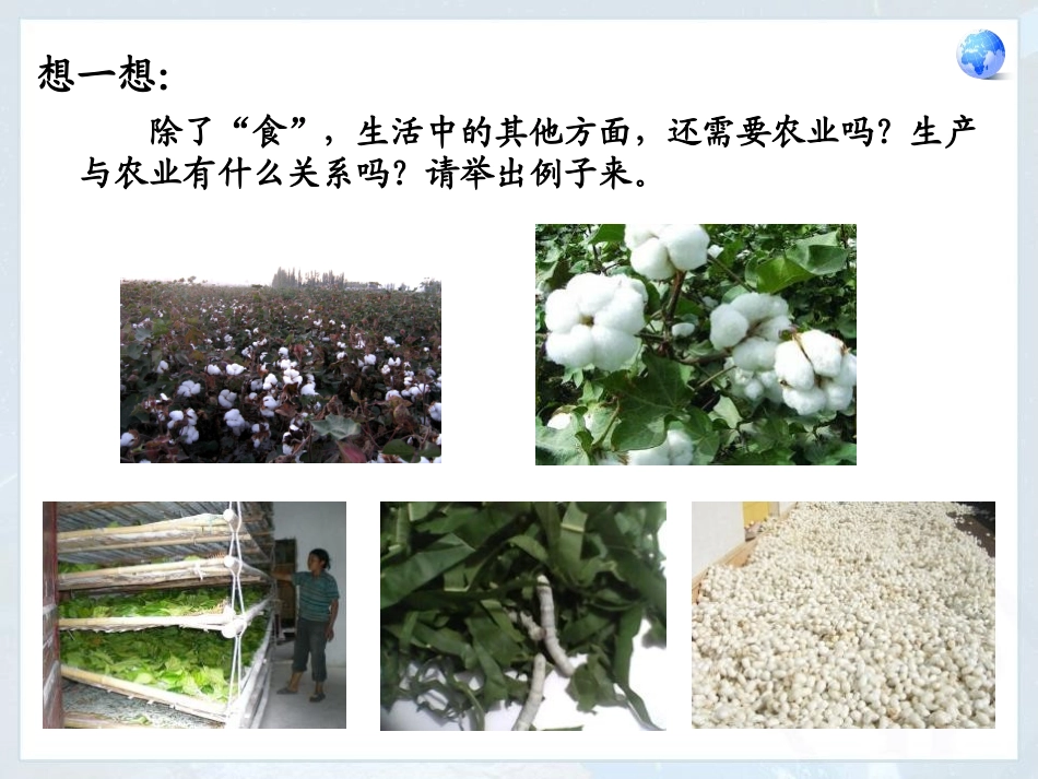 《因地制宜发展农业》PPT免费课件[商务星球版八年级地理]_第3页
