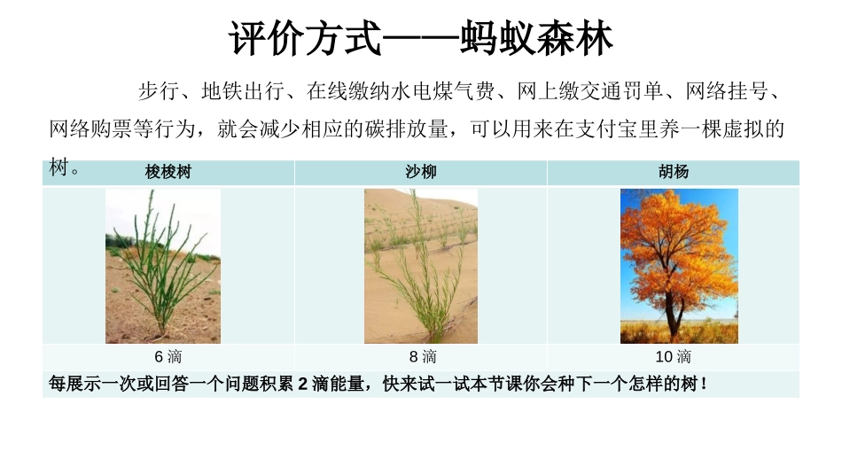 《新疆维吾尔自治区》PPT教学课件[商务星球版八年级地理]_第2页