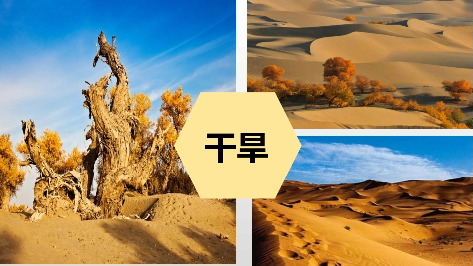 《新疆维吾尔自治区》PPT免费课件[商务星球版八年级地理]_第3页