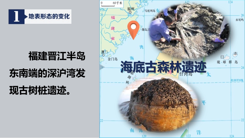 《海陆的变迁》PPT教学课件[上海教育版六年级地理下册]_第3页
