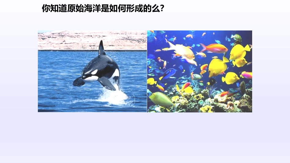 《世界的海洋》PPT教学课件[上海教育版六年级地理下册]_第2页
