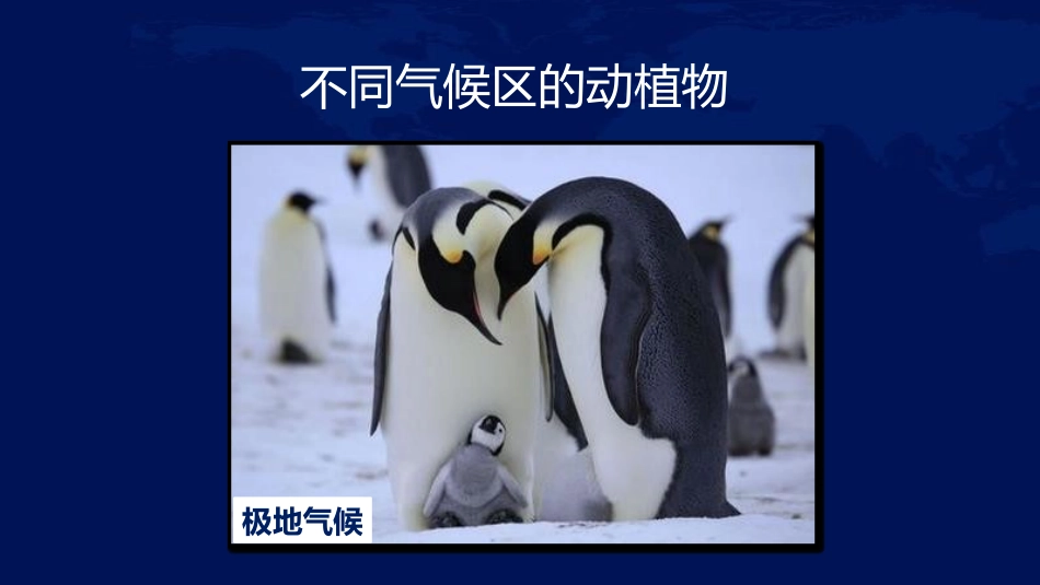 《气候与人类活动》PPT课件[上海教育版六年级地理下册]_第2页